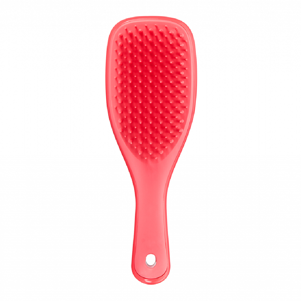 Wet Detangler Mini Hairbrush