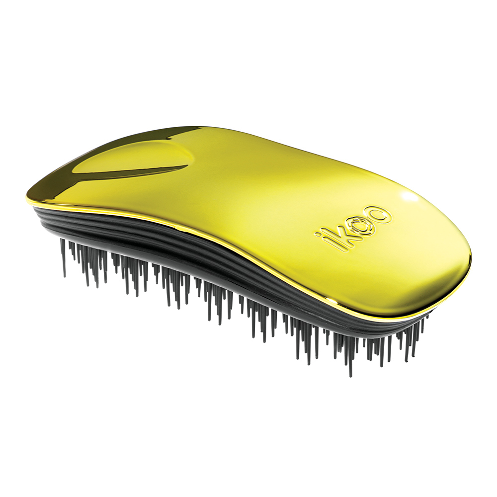 Ikoo Home Brush