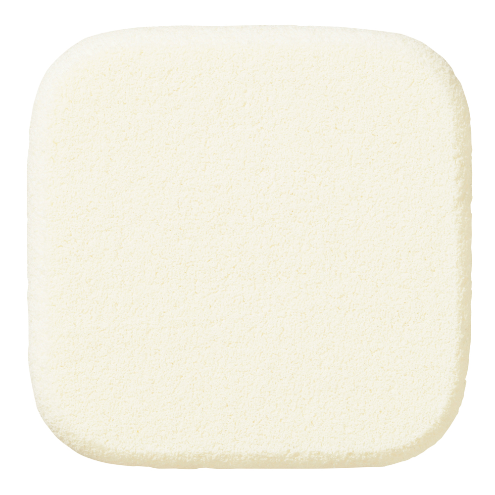 Makeup Sponge SF