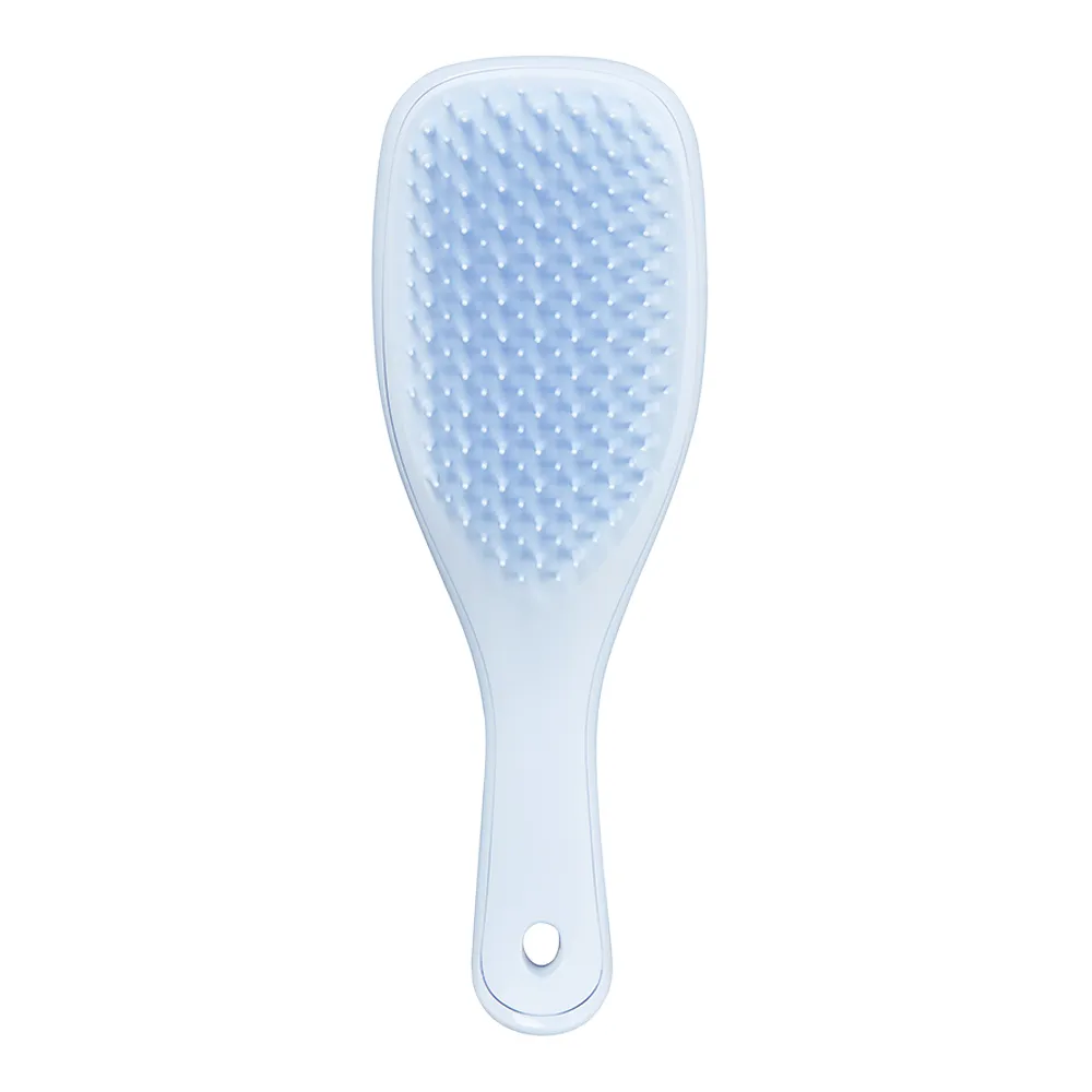 Wet Detangler Mini Hairbrush