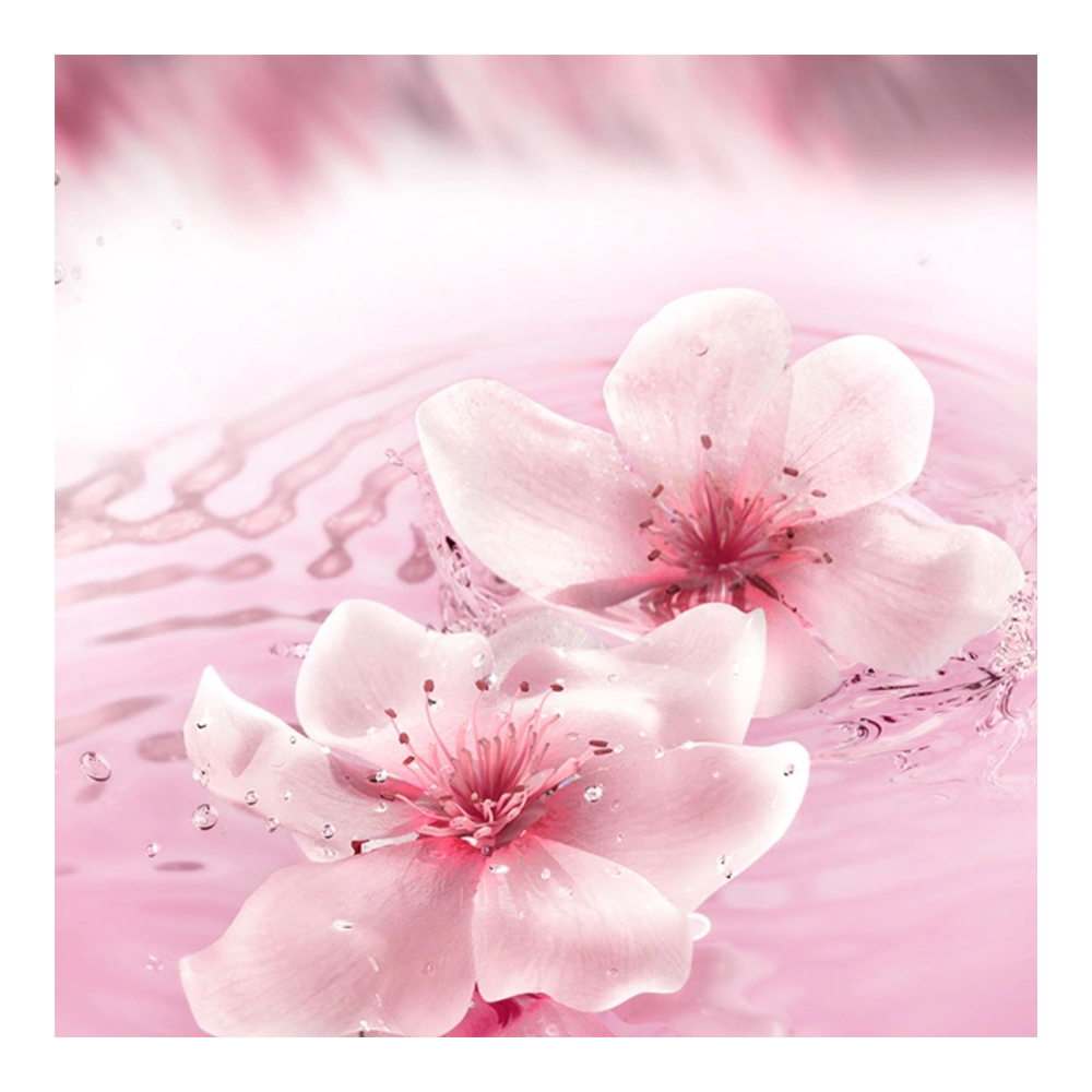 Estee Lauder Brasil Dream Eau De Parfum – 50 Ml – Holzig-würziger Duft Für Frauen
