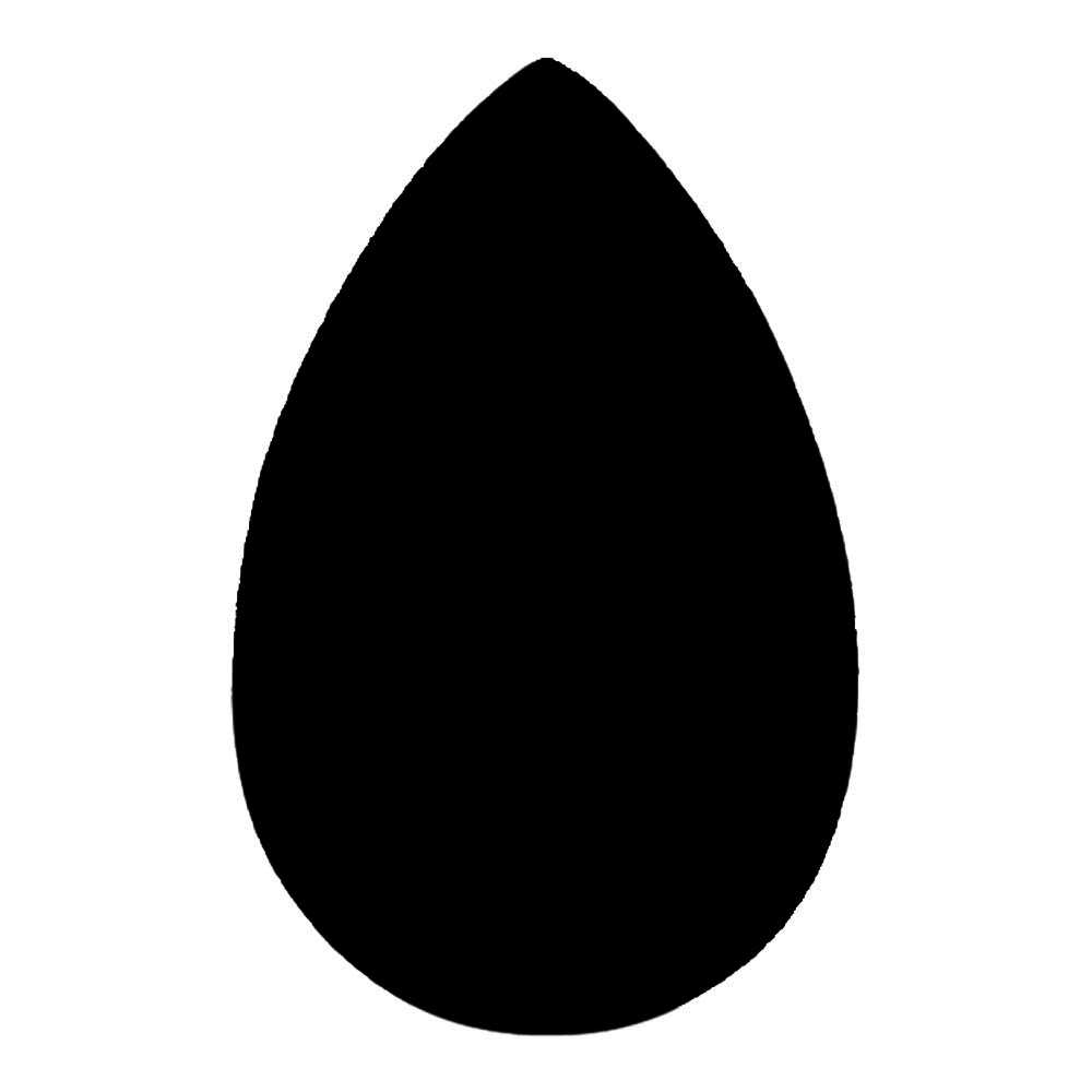 Beautyblender Pro